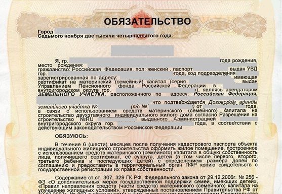 Согласие на выделение долей по материнскому капиталу образец